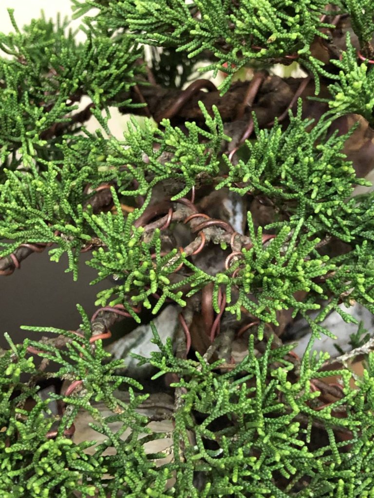 スライドショー画像 3